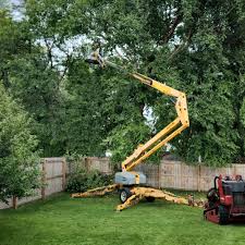 Artificial Turf Installation in Lakeland Village, CA