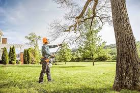 Best Pest Control for Lawns  in Lakeland Village, CA